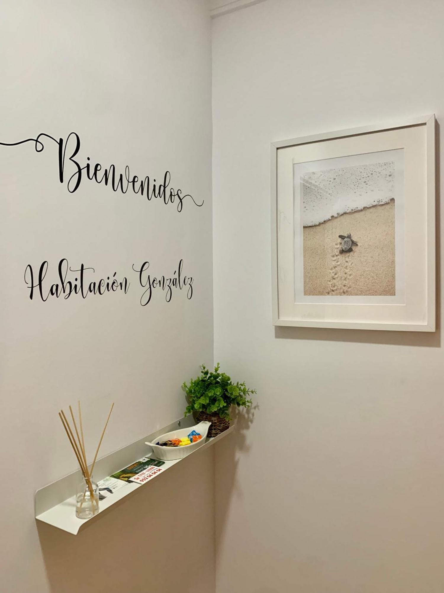 Habitacion Gonzalez Málaga Eksteriør billede